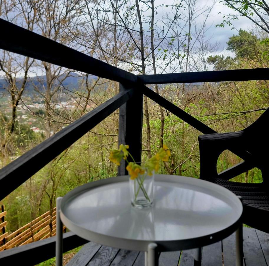 Dilijanyan-guesthouse1 Dilijan